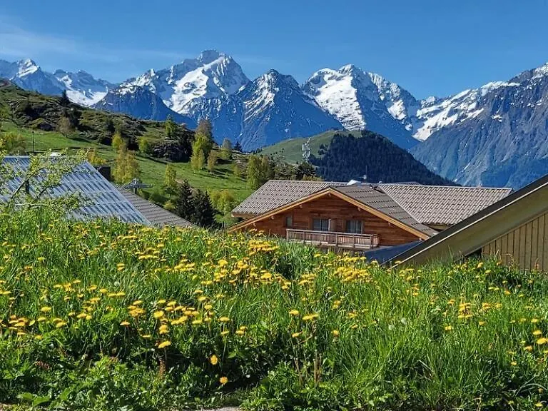 Renove - Cosy & Idealement Situe - Coup De Coeur Alpe dʼHuez Appartement